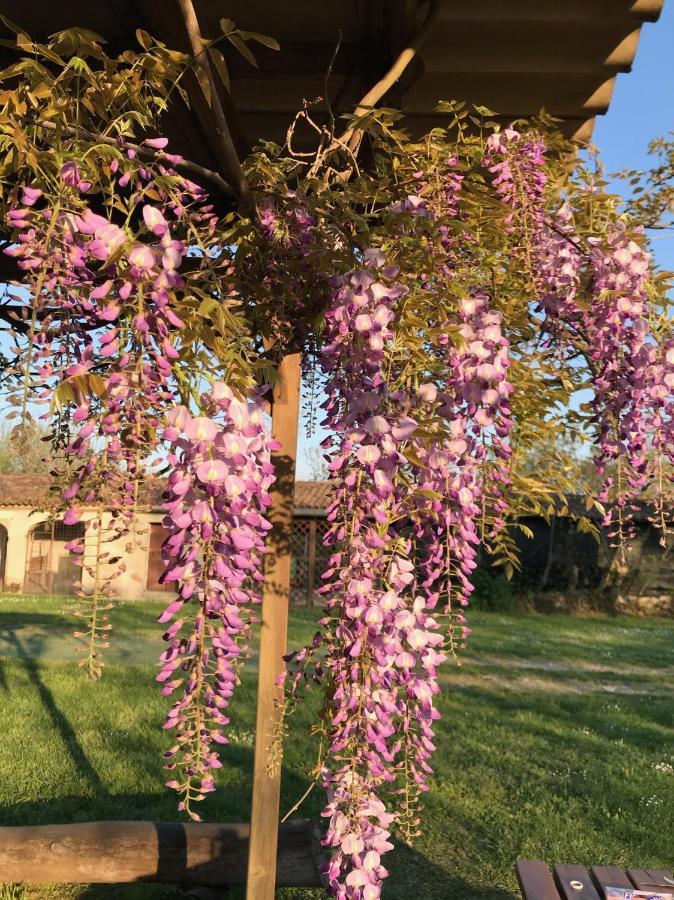 Agriturismo Corte Galvagnina Cesole Экстерьер фото