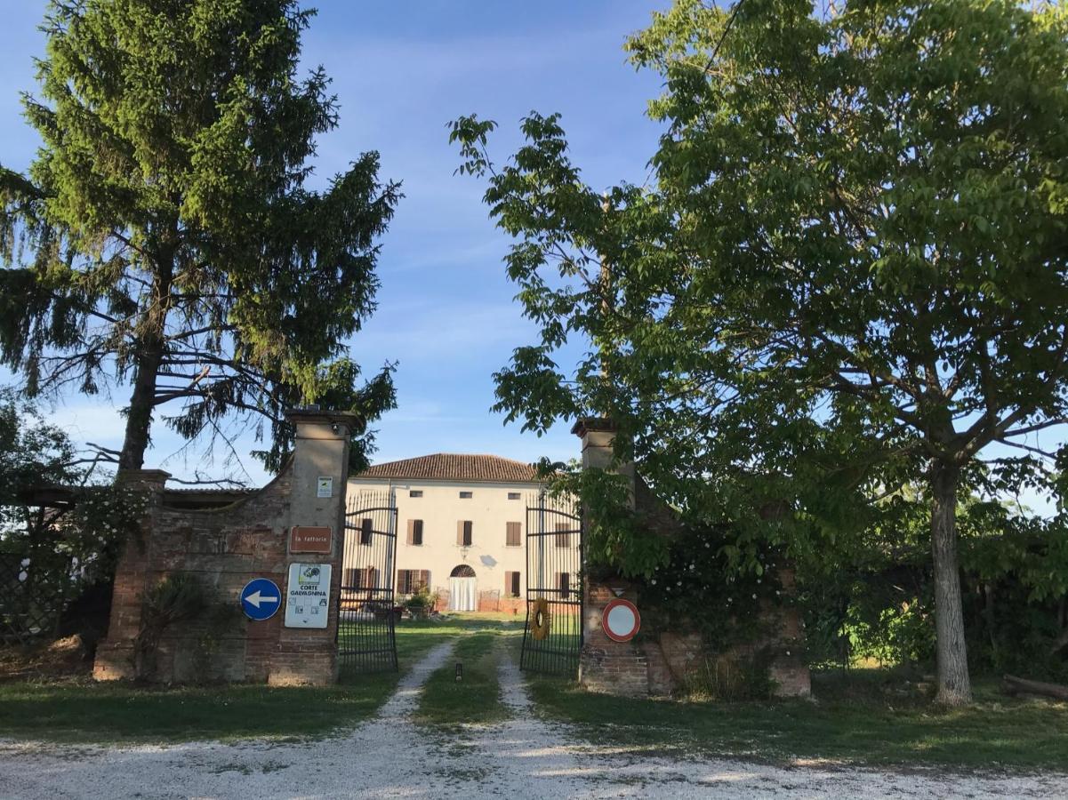 Agriturismo Corte Galvagnina Cesole Экстерьер фото
